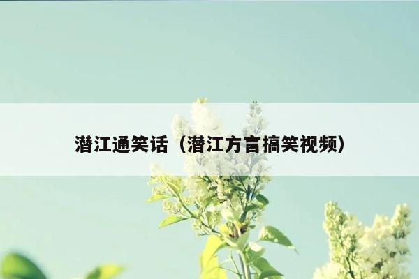 潜江通笑话（潜江方言搞笑视频）插图