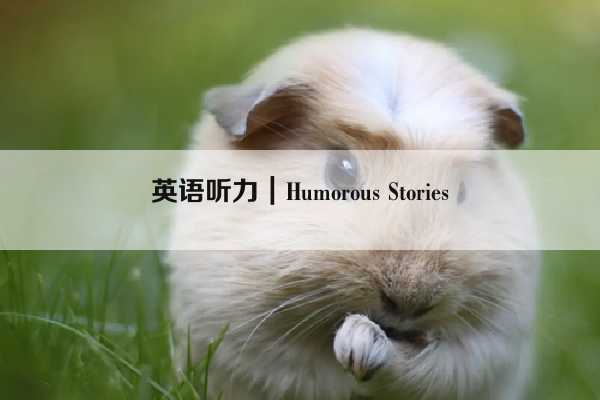 英语听力｜Humorous Stories插图