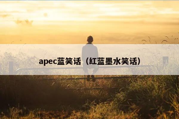 apec蓝笑话（红蓝墨水笑话）插图