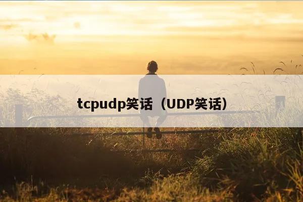 tcpudp笑话（UDP笑话）插图