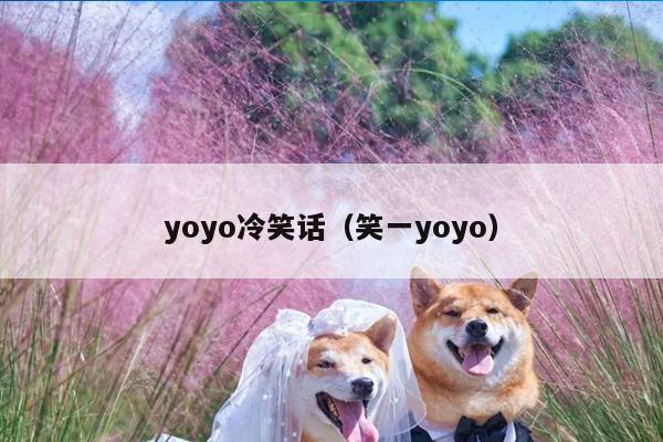 yoyo冷笑话（笑一yoyo）插图
