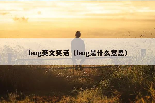 bug英文笑话（bug是什么意思）插图