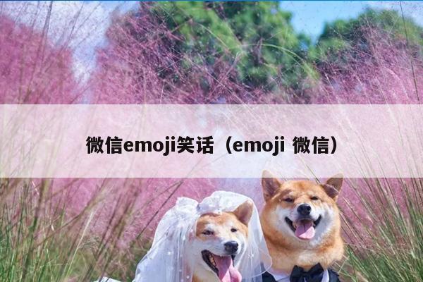 微信emoji笑话（emoji 微信）插图
