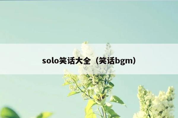 solo笑话大全（笑话bgm）插图