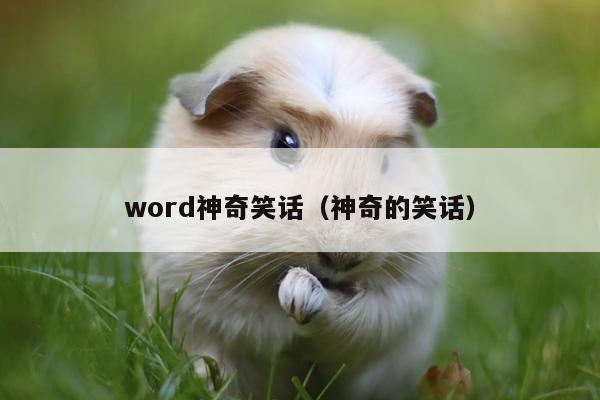 word神奇笑话（神奇的笑话）插图