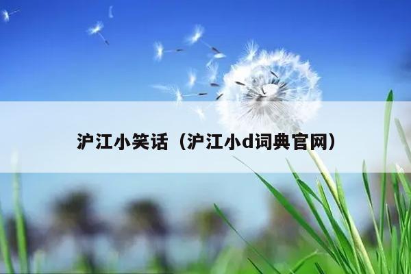 沪江小笑话（沪江小d词典官网）插图